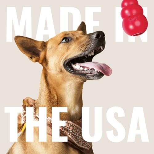 KONG Ring, Natural Rubber Chew Toy for Dental Health, for Small/Medium Dogs