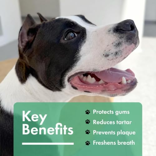 Dog Dental Powder, Dog Teeth Cleaning Breath Freshener