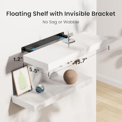 Amada 15.7" Floating Shelves for Wall Decor & Storage, Set of 3, White