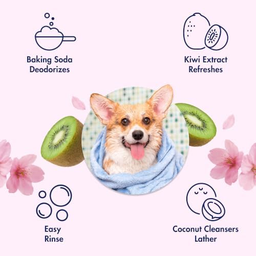 Arm & Hammer Deodorizing Dog Shampoo, Kiwi Blossom, 20 Fl Oz