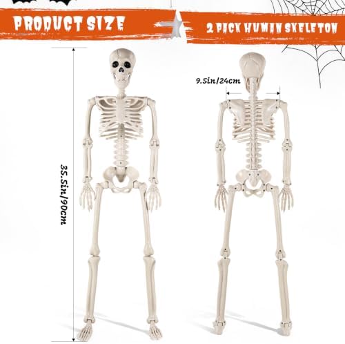 DWTS 2 Pack 36" Skeleton Halloween Decor