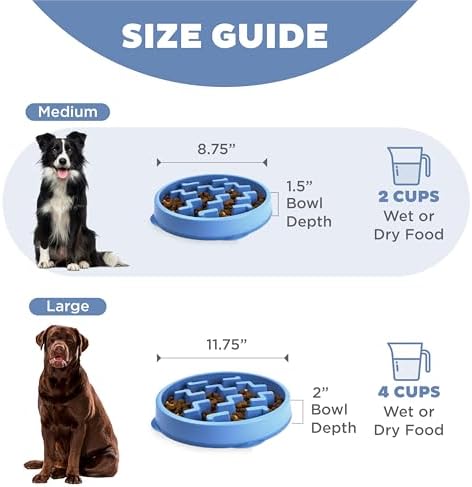 Outward Hound Fun Feeder Slo Bowl Dog Slow Feeder, Notch, Blue, 8.8"