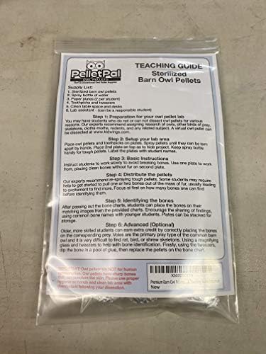 Premium Barn Owl Pellets, Small: 1.25"-1.5" (Pack of 20) - Free Bone Identification Chart