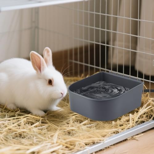 NAMSAN Small Heated Water Bowl for Cats Outdoor, 1L Heated Dog Bowl