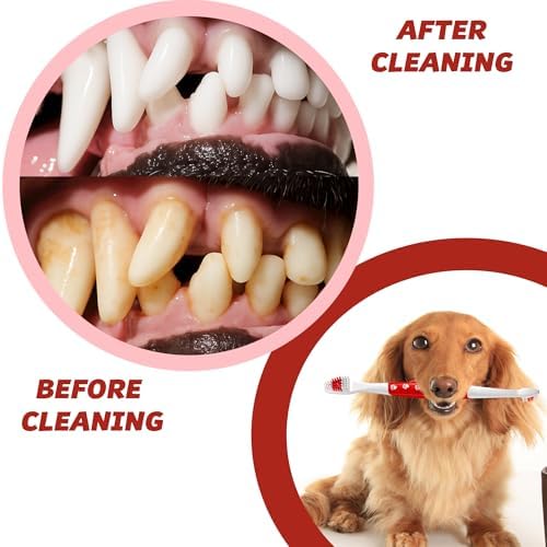 Pet Toothbrush for Dogs, Cats with Soft Bristles - Easy Teeth Cleaning & Dental Care
