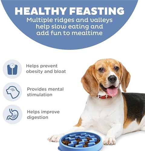 Outward Hound Fun Feeder Slo Bowl Dog Slow Feeder, Notch, Blue, 8.8"