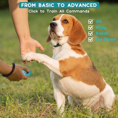 Dog Training Clicker with Sring Wrist and Keyring - Pet Dog Training Clickers for Puppy