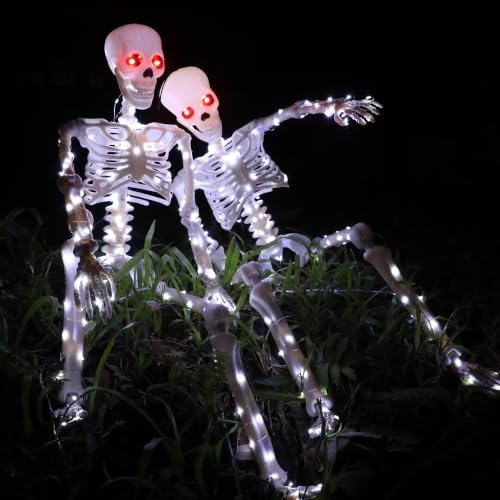 Halloween Decorations Outdoor Skeletons Set