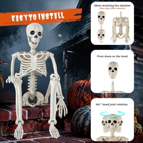 DWTS 2 Pack 36" Skeleton Halloween Decor