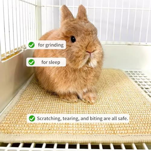 2PCS Rabbit Scratch Mat, Natural Bunny Pad Claws and Teeth Care, 16x12
