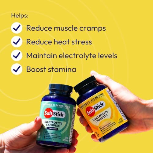SaltStick Sugar Free Electrolytes Salt Pills 0 Calories 0 Sugar 100 Count