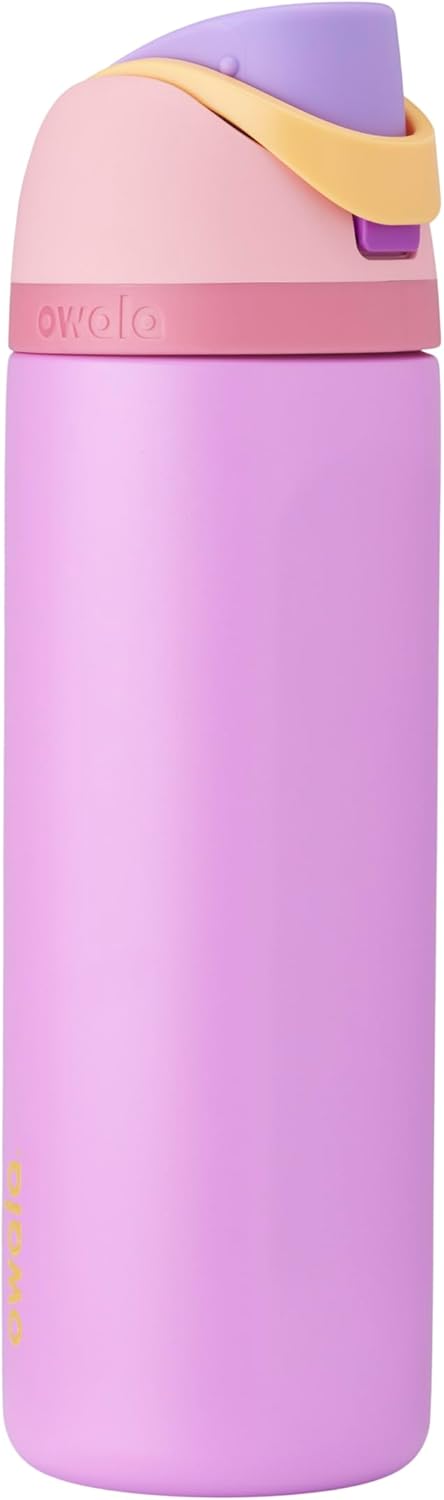 Owala Disney Princess FreeSip Insulated Stainless Steel Water Bottle