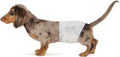 Amazon Basics Absorbent, Leakproof Male Dog Wrap Disposable Diapers