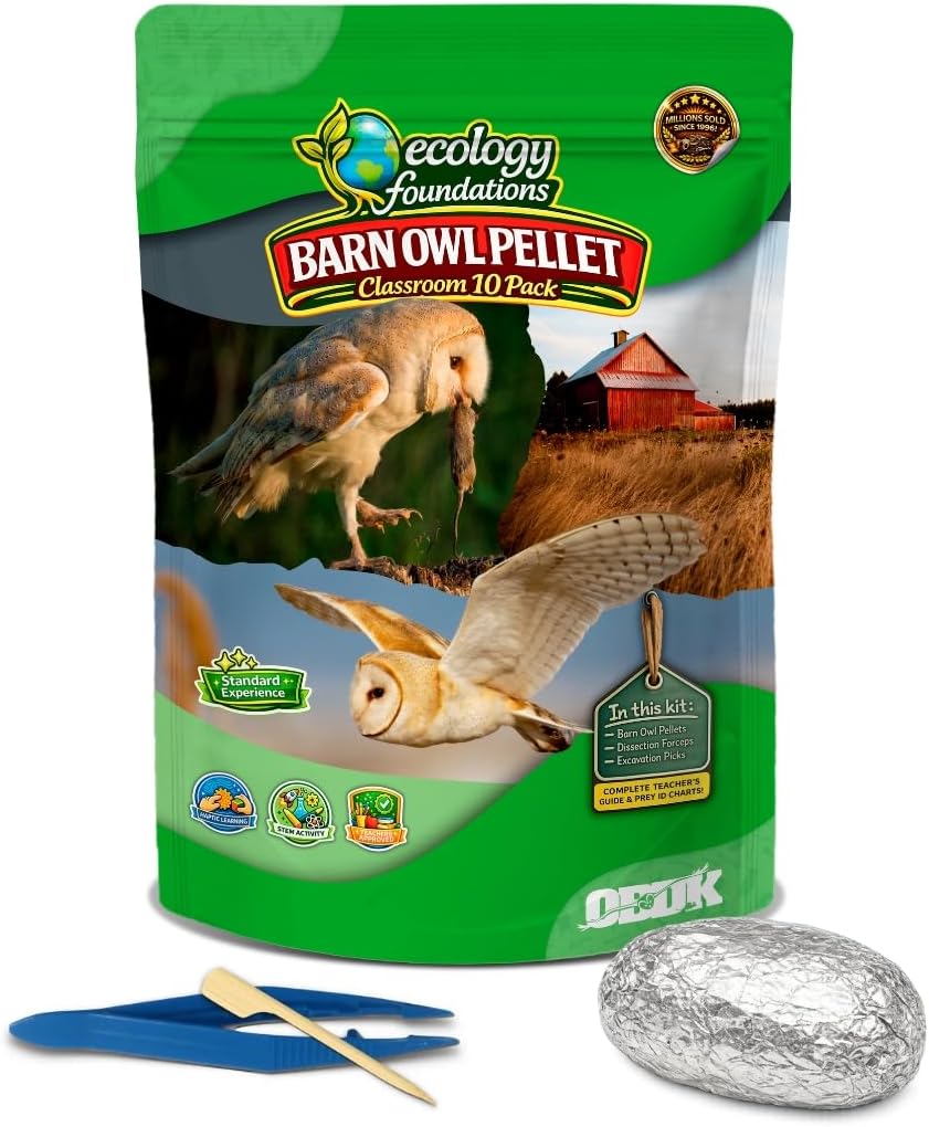 Barn Owl Pellet Dissection Kit for Classrooms, Large 10-Pack by OBDK