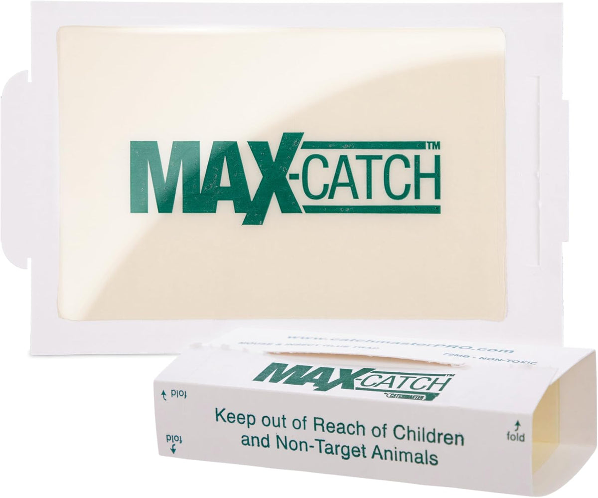 Catchmaster Max-Catch Mouse & Insect Glue Trap 36pk, Mouse Traps Indoor