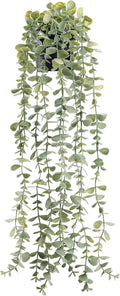 Der Rose 24" Fake Hanging Eucalyptus Plant for Bathroom Wall Art Decor