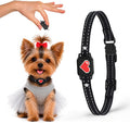Bark Collar for Small Dogs 5-15 lbs with Magnetic Charging – No Shock