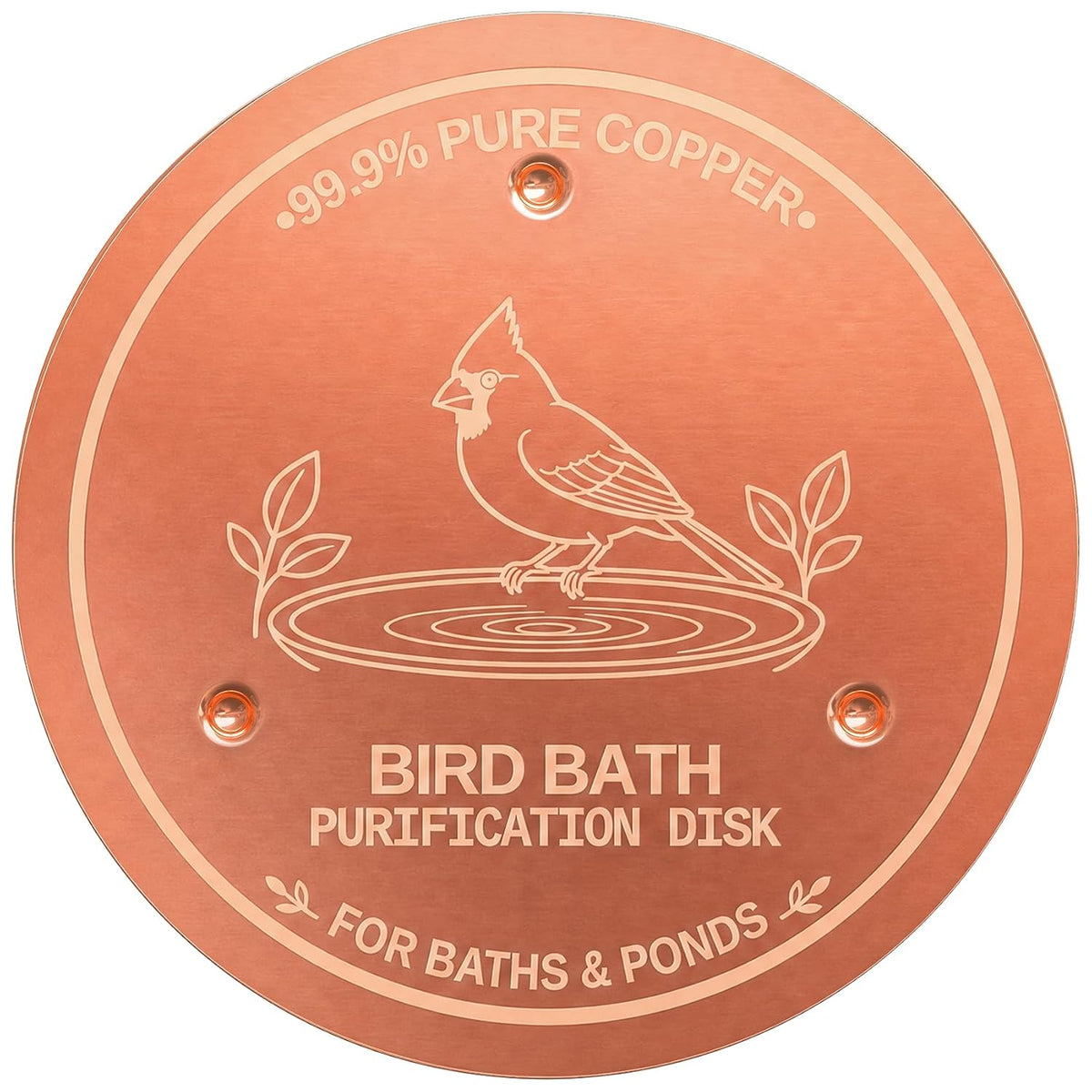Copper Disc for Bird Bath, 99.9% Pure Copper - copper plate bird bath