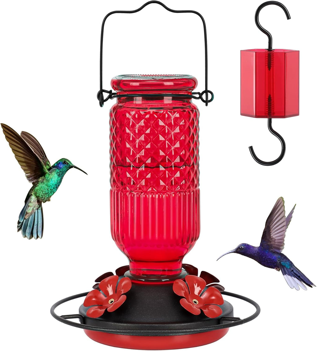 FEED GARDEN Glass Hummingbird Feeder, 16oz Outdoor Hanging Bird Feeder