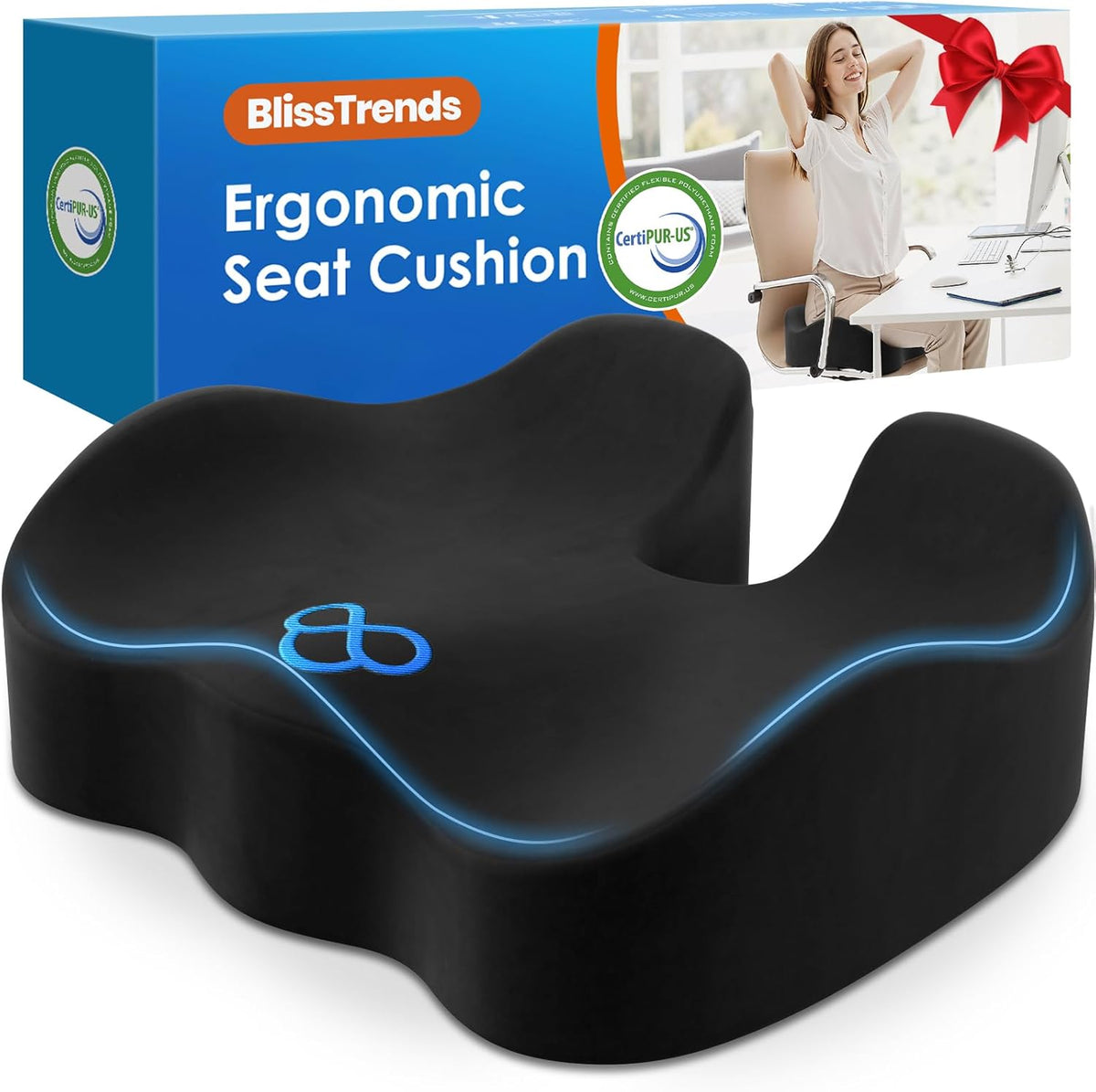BlissTrends Seat Cushion with Velvet Cover, Thick Memory Foam Cushions