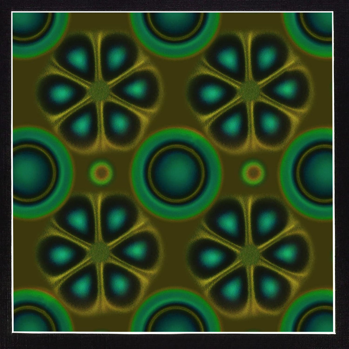 Magnetic Field Viewing Film, Magnetic Field Viewer, 4 x 4 Inch