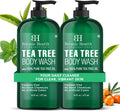 Botanic Hearth Tea Tree Body Wash 16 fl oz